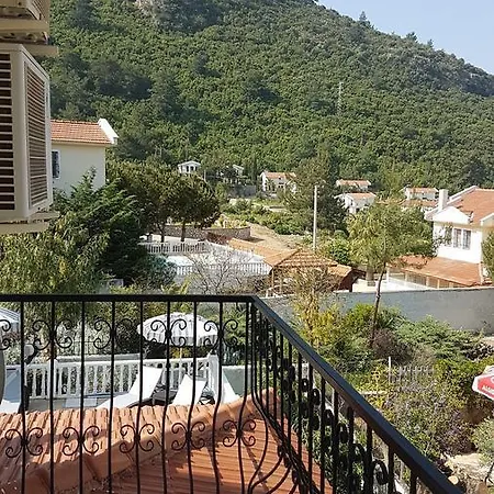 Hayat